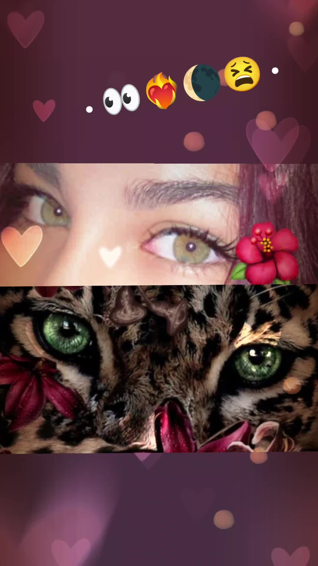 @💜🌸Gabriellah💜🌸