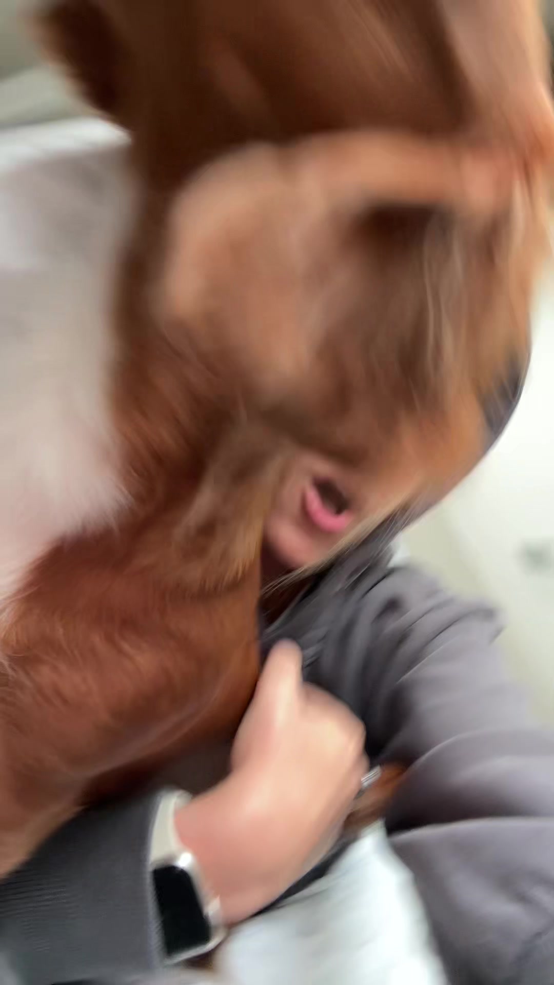 @dani