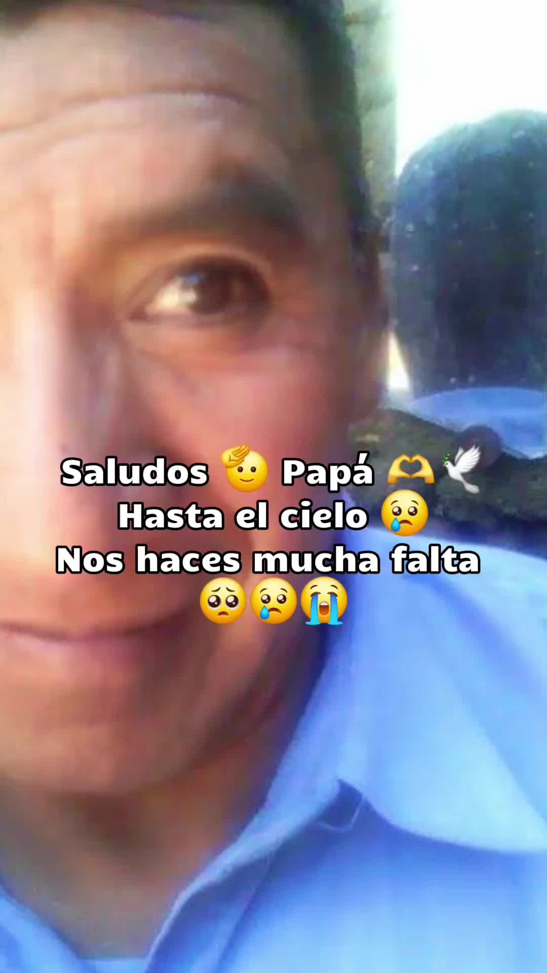 @MICHI🐈 5❤️2 Ddj