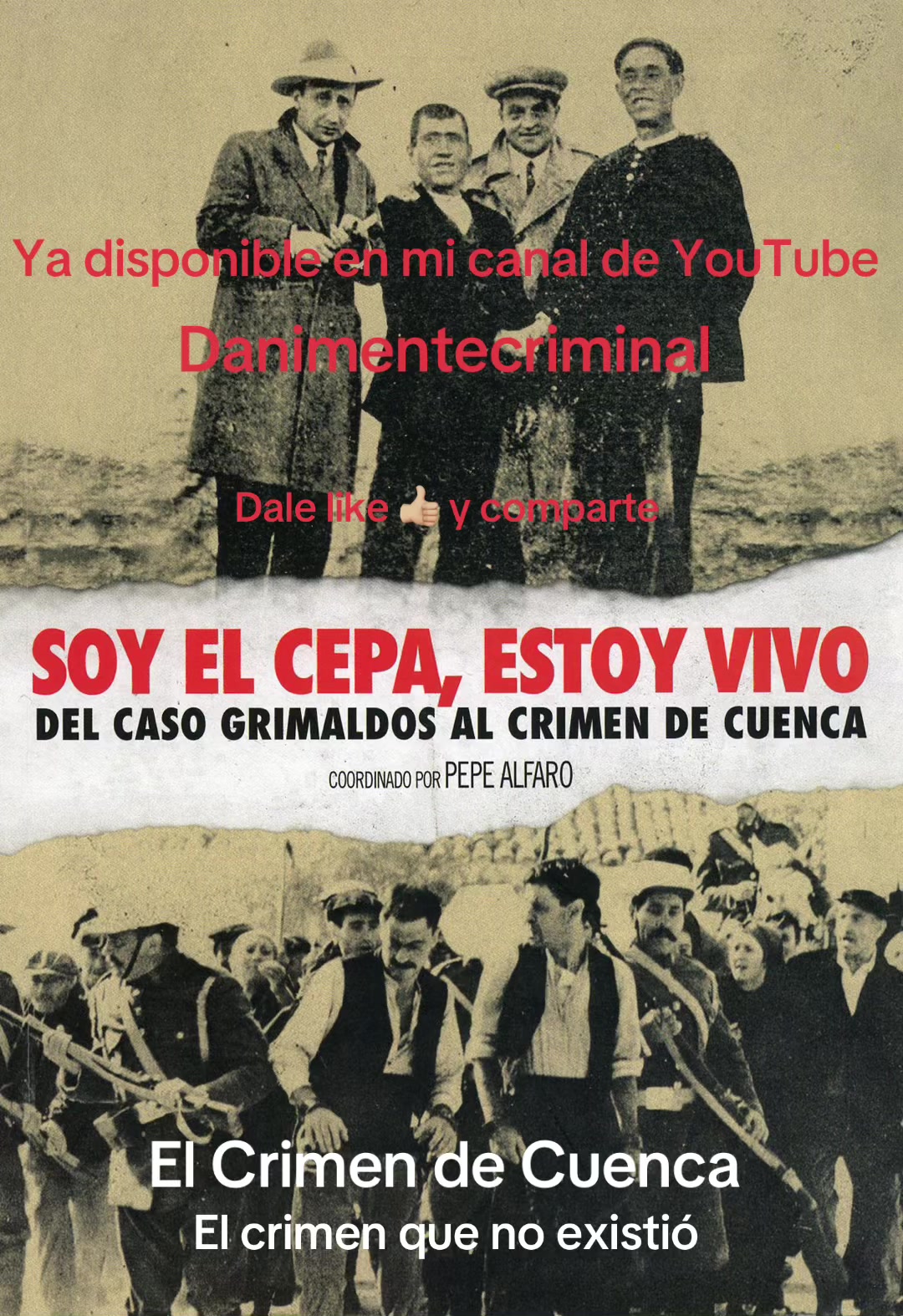 @Dani Mente Criminal