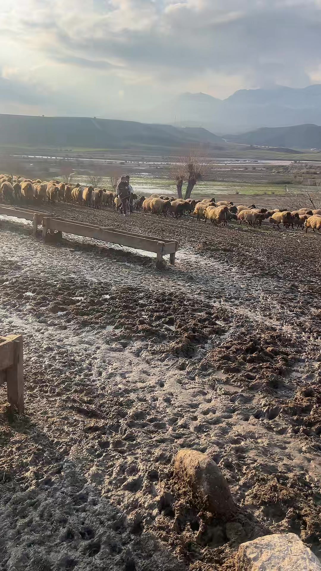 @ŞİYAR ✪