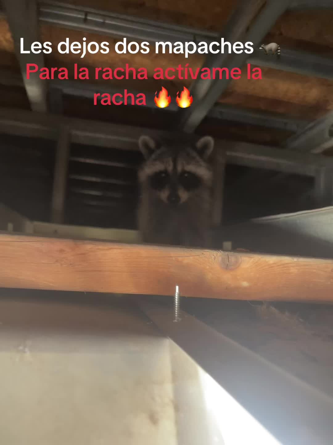 @Flaco.G