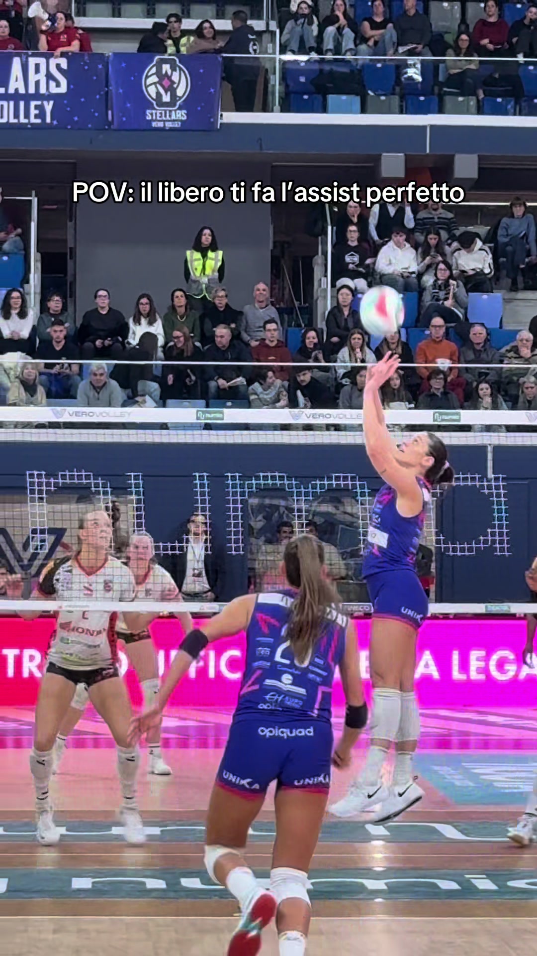 @Vero Volley