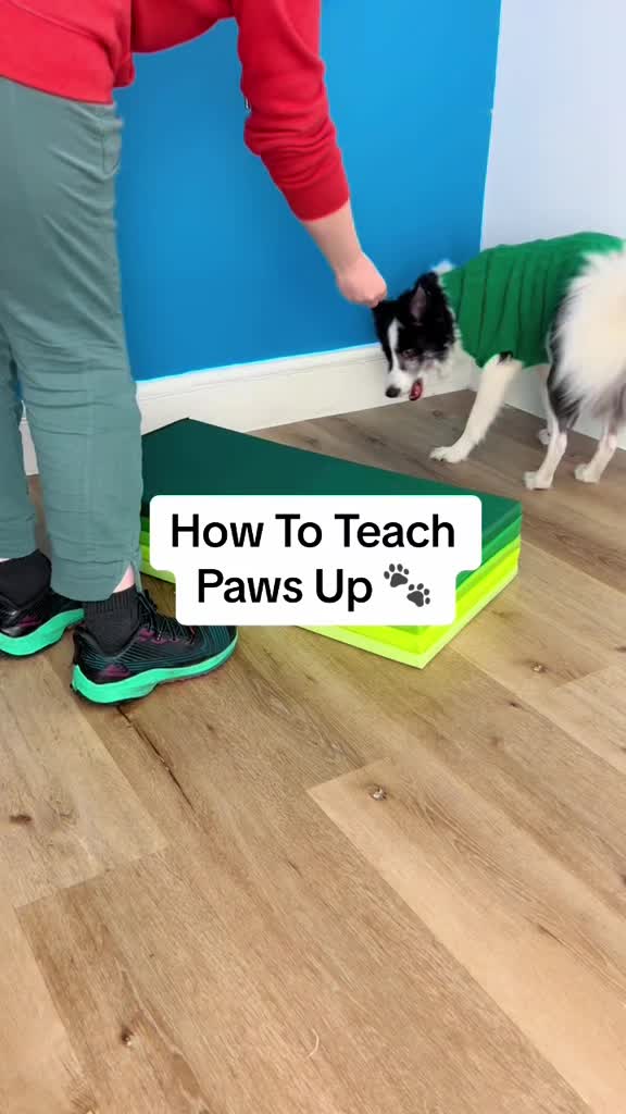 @Train Up Pup