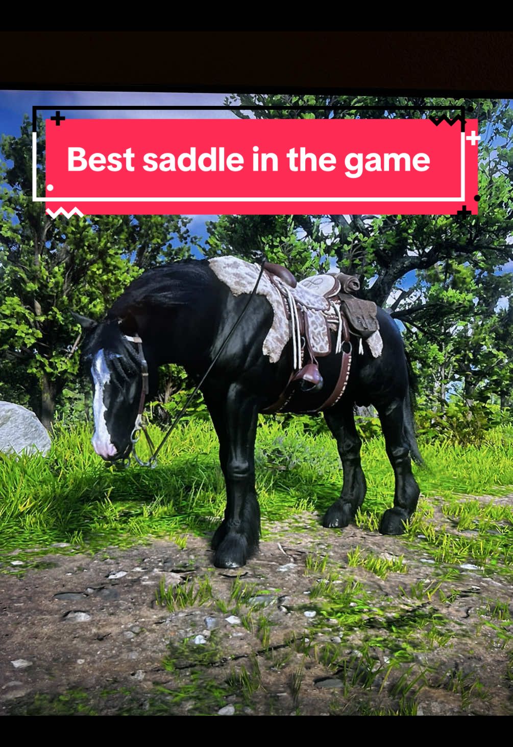 @Reddeadredemption 2