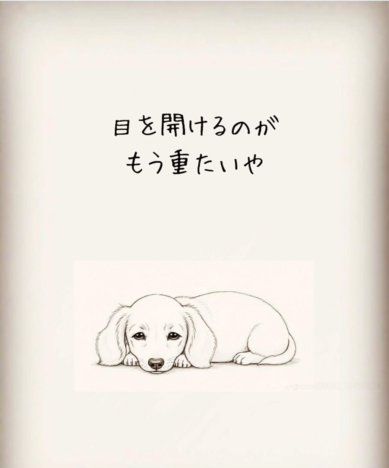 @👰&zwj;♀️🦦&hearts;️初代だいすけ🐙🤏