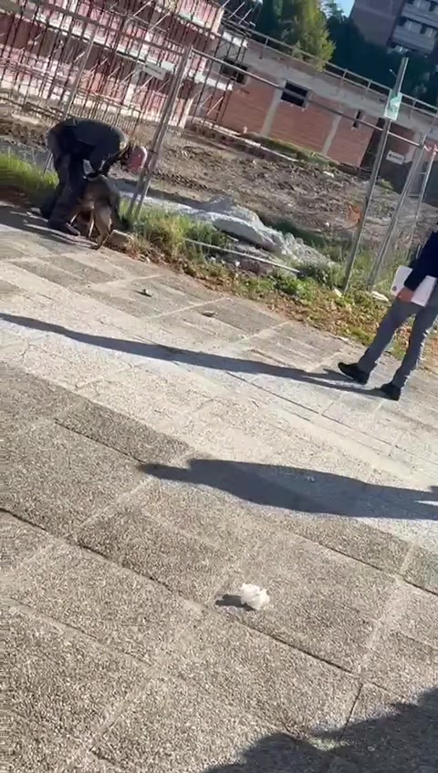 @tomm4._A