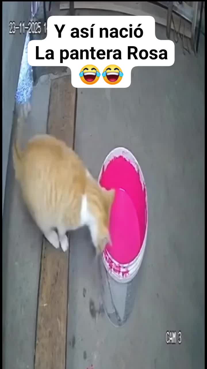 @𝕰𝖑_𝑮𝑼𝑬𝑹𝑹𝑬𝑹𝑶_🇲🇽👑✌