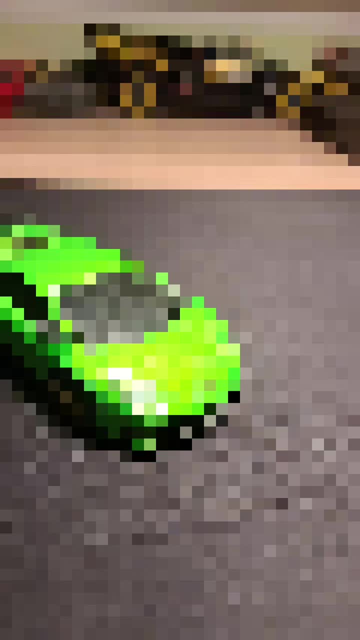 @𝑻𝑰𝑴𝑰𝑿𝒁🐉