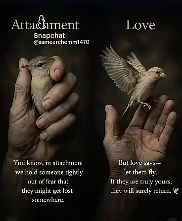 @🕊️Hayat🫰🦂💸🧿🖤