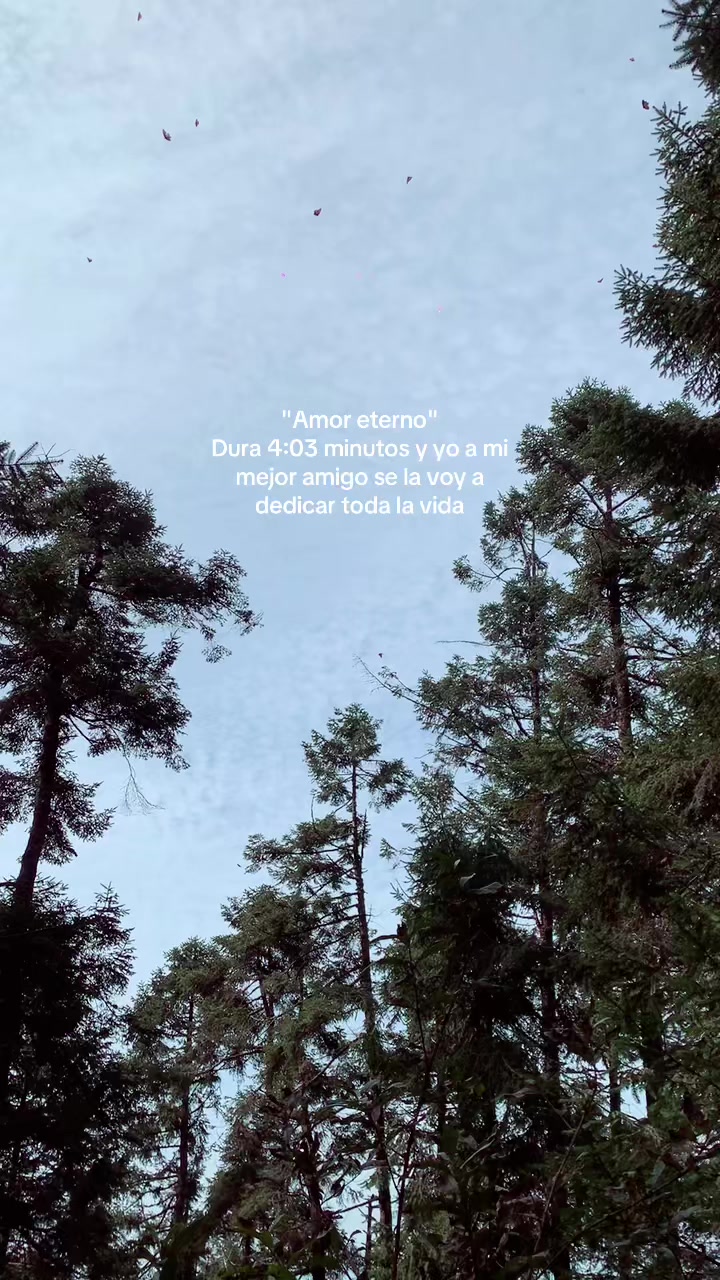 @L💘🌺