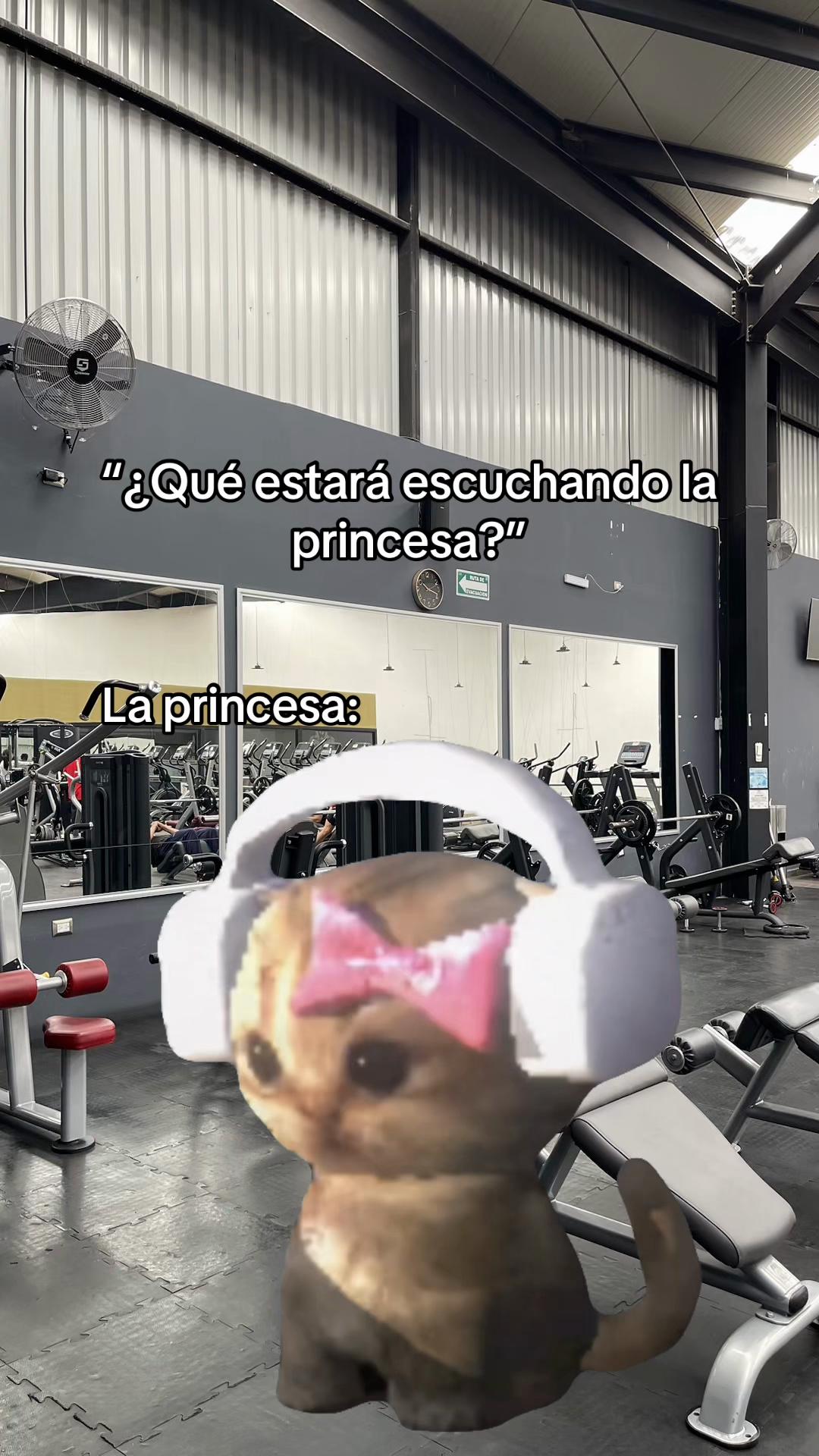 @kingsgymfitness