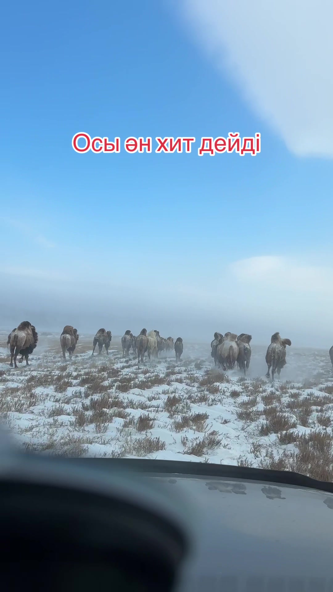 @Нұржан Ардана