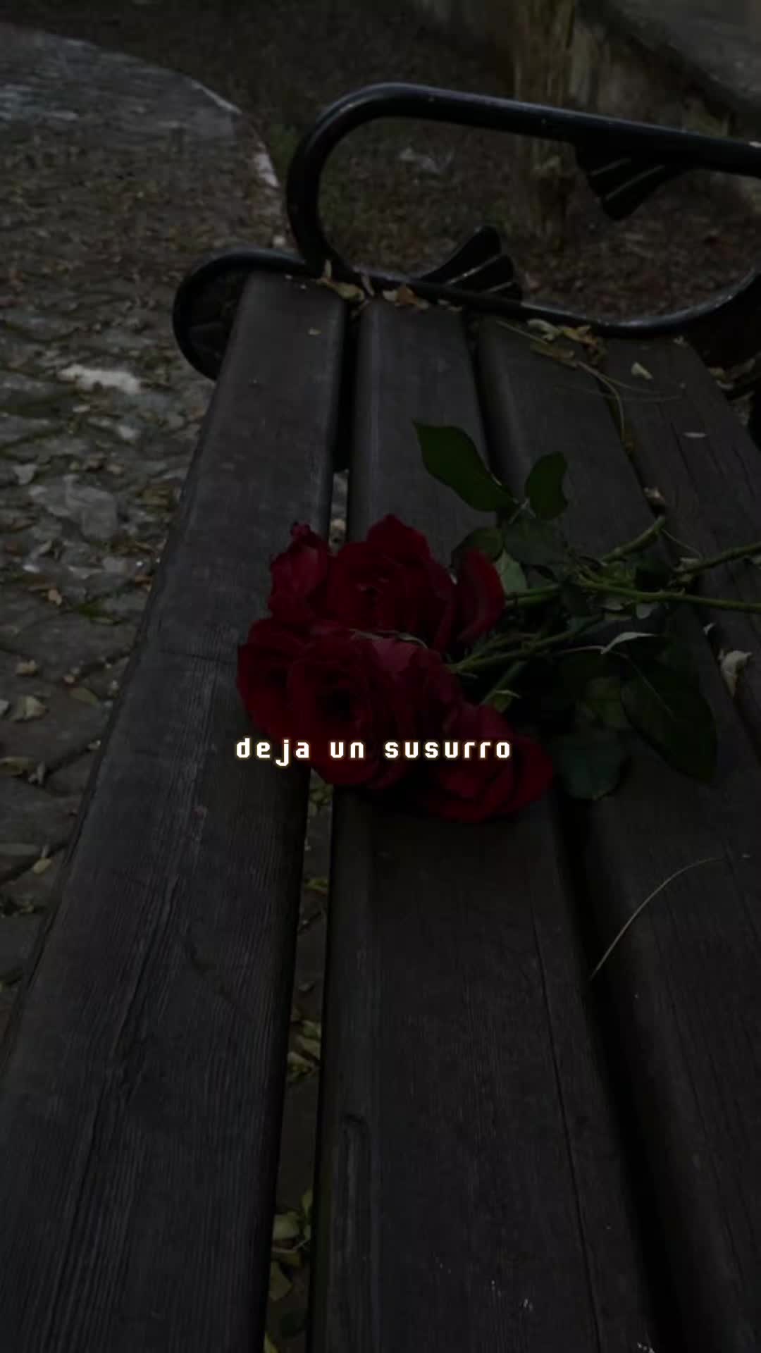 @M&uacute;sica para tu alma ❤️🎼💽