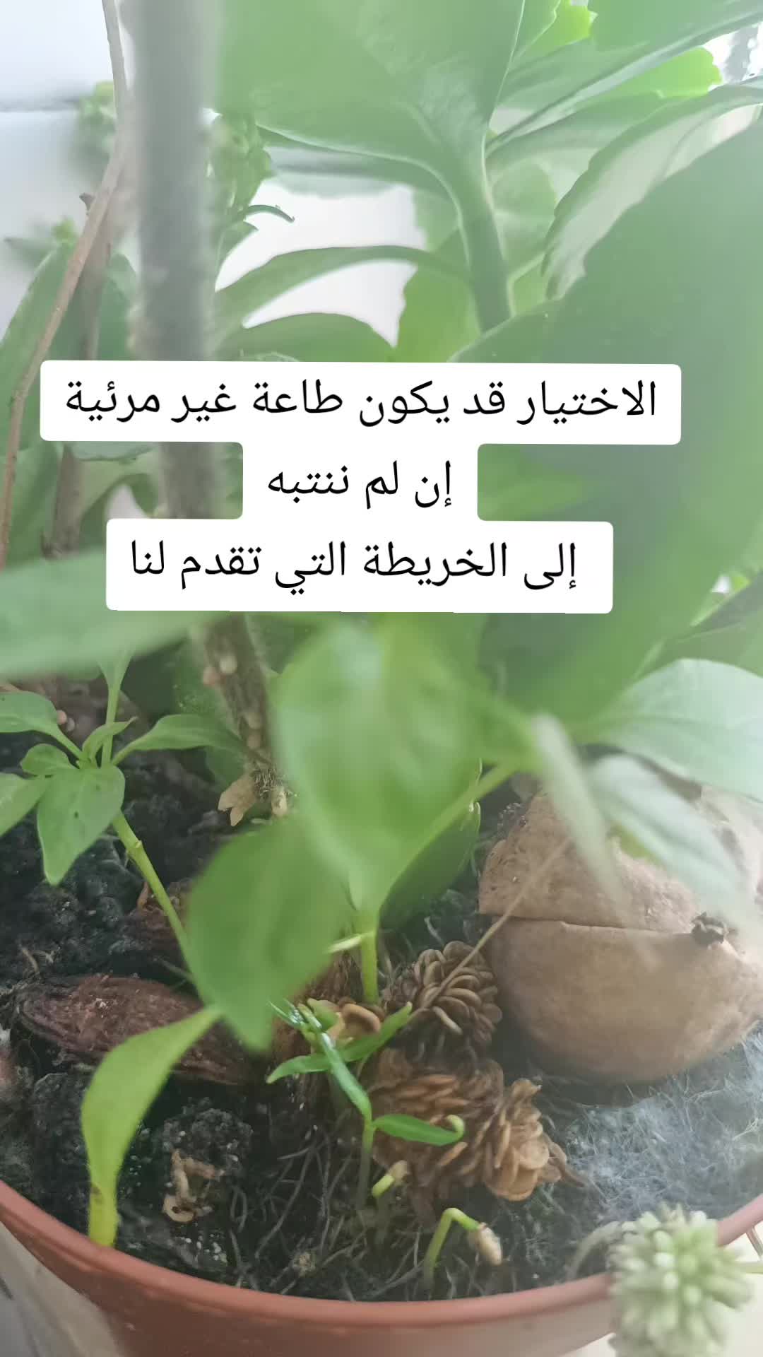 @IMMI