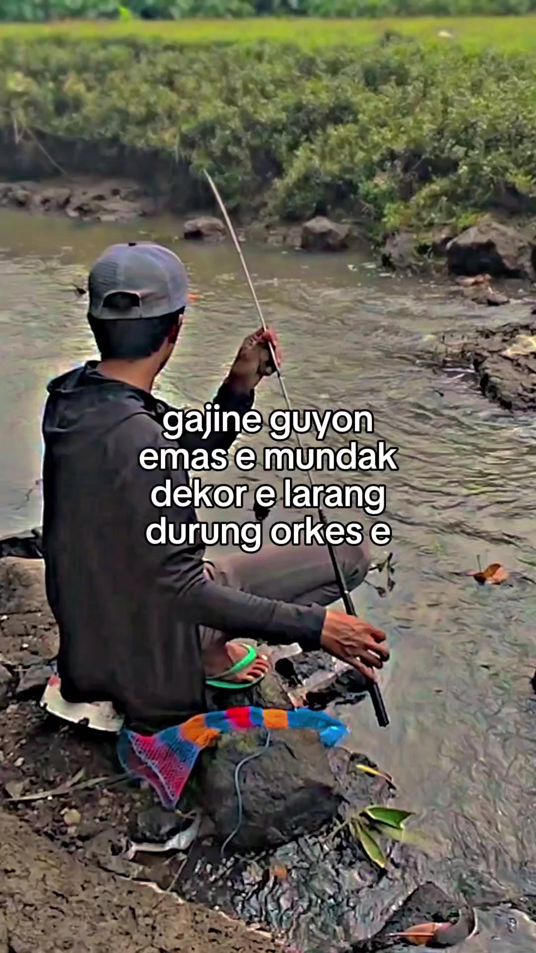 @Wader Hunter