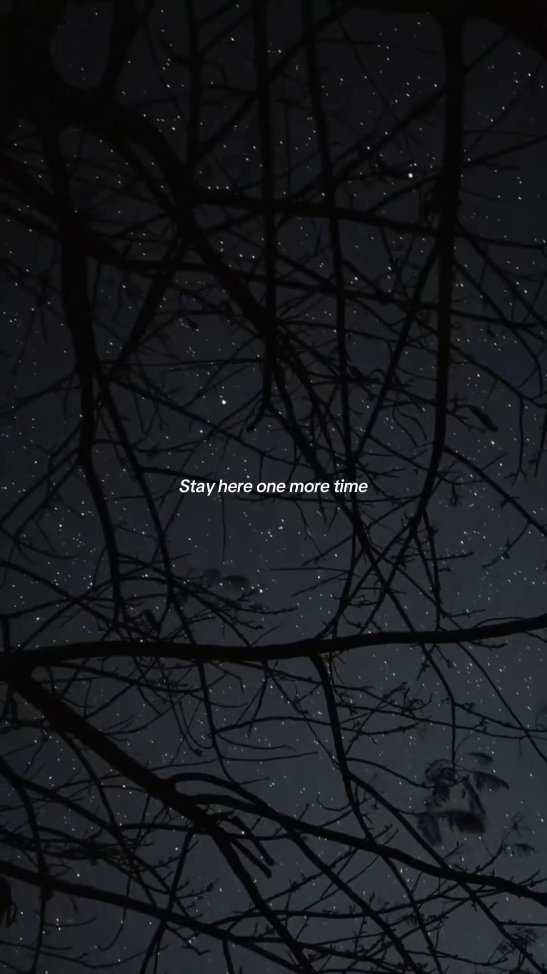 @avlxedits