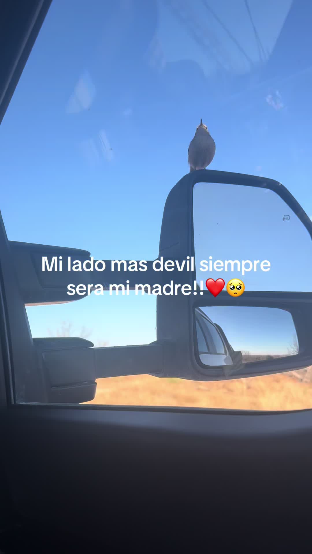 @El seven07