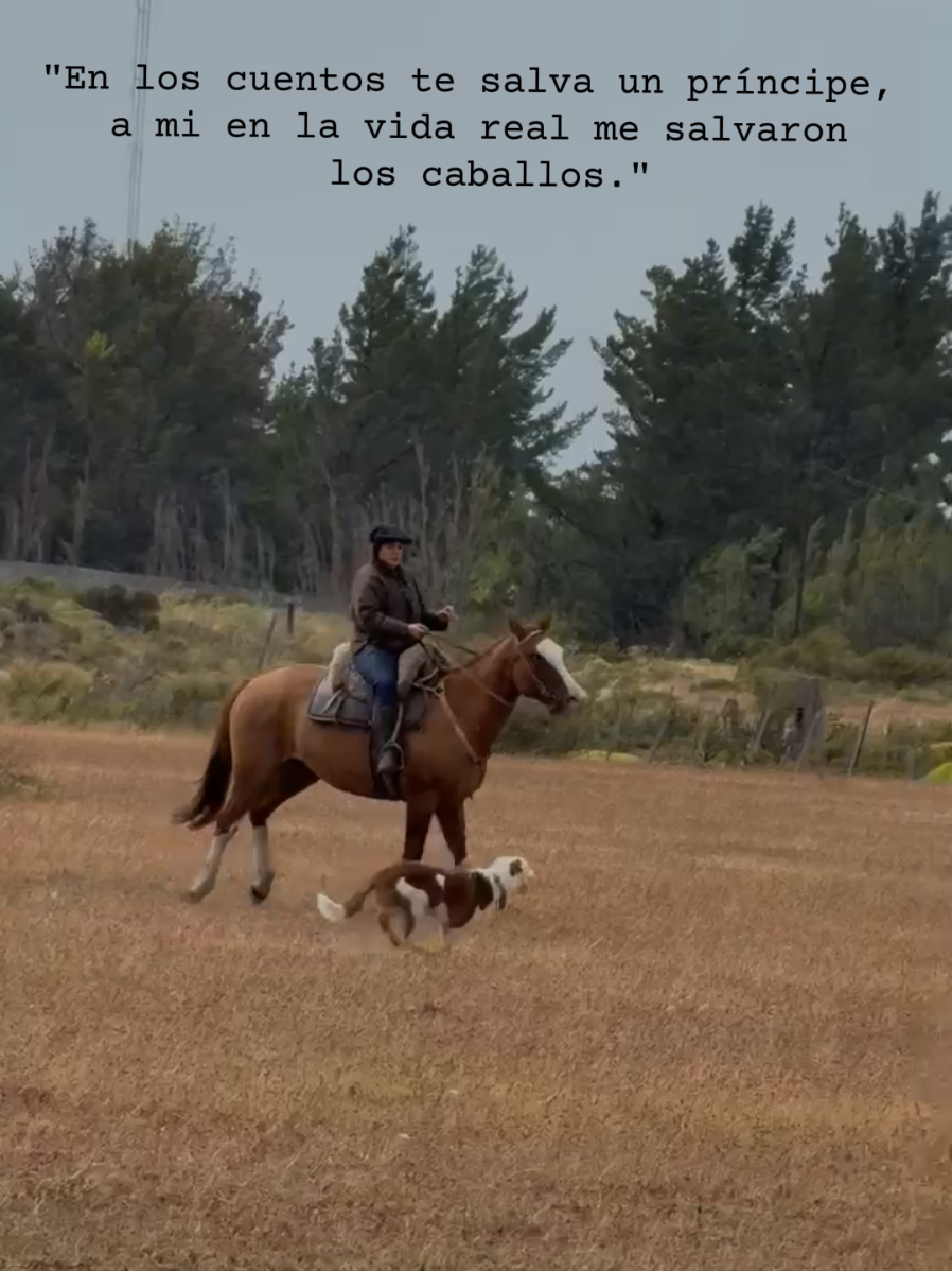 @Paisa 🐴