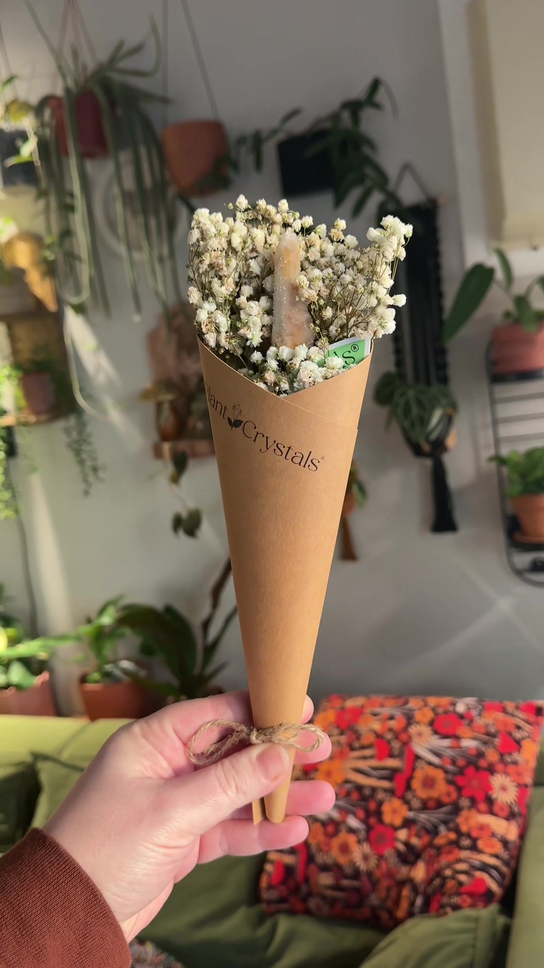 @Ness Rose | Plant Fanatic ✨