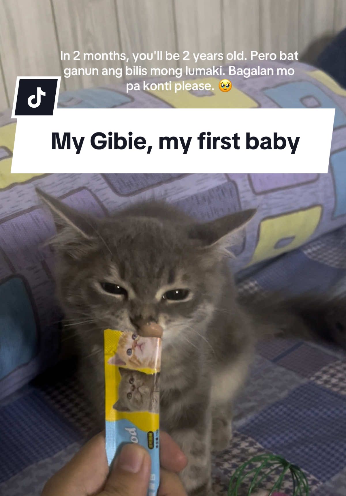@IG:ghelodavid