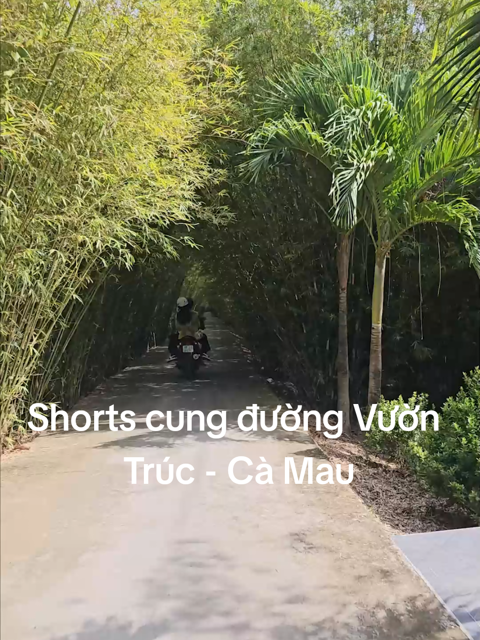 @Thanh Nam