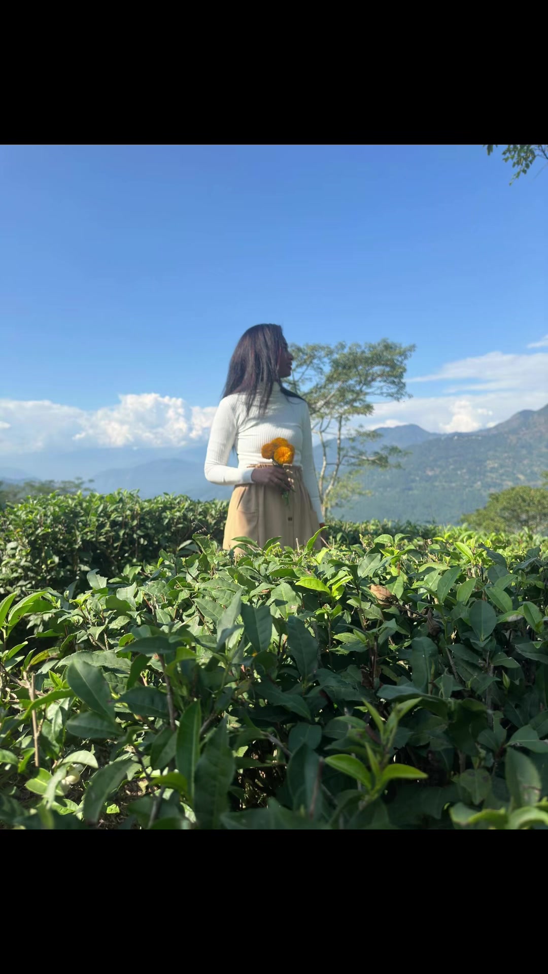 @Kokilavani_Palanivel