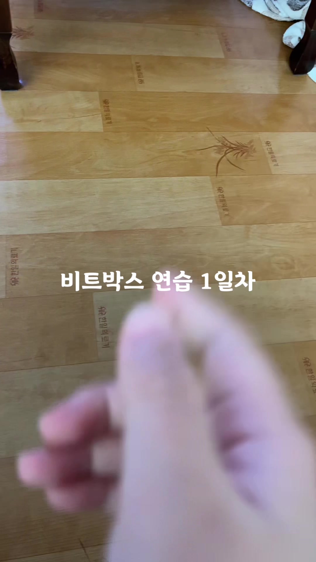 @도마뱀