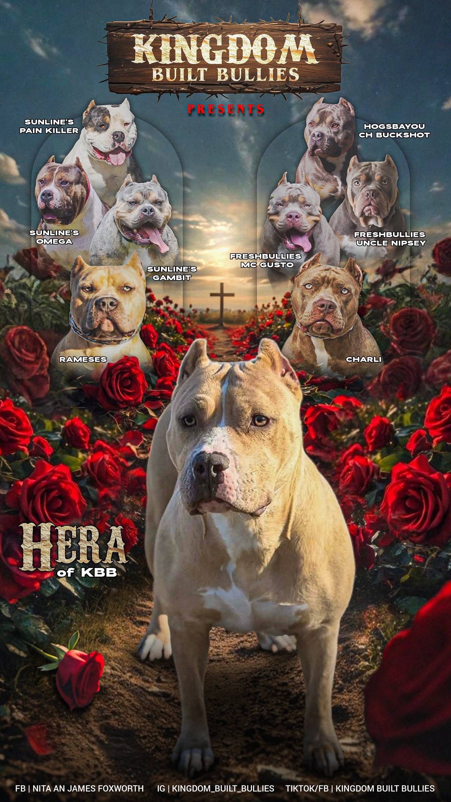@Hera_The_Bully