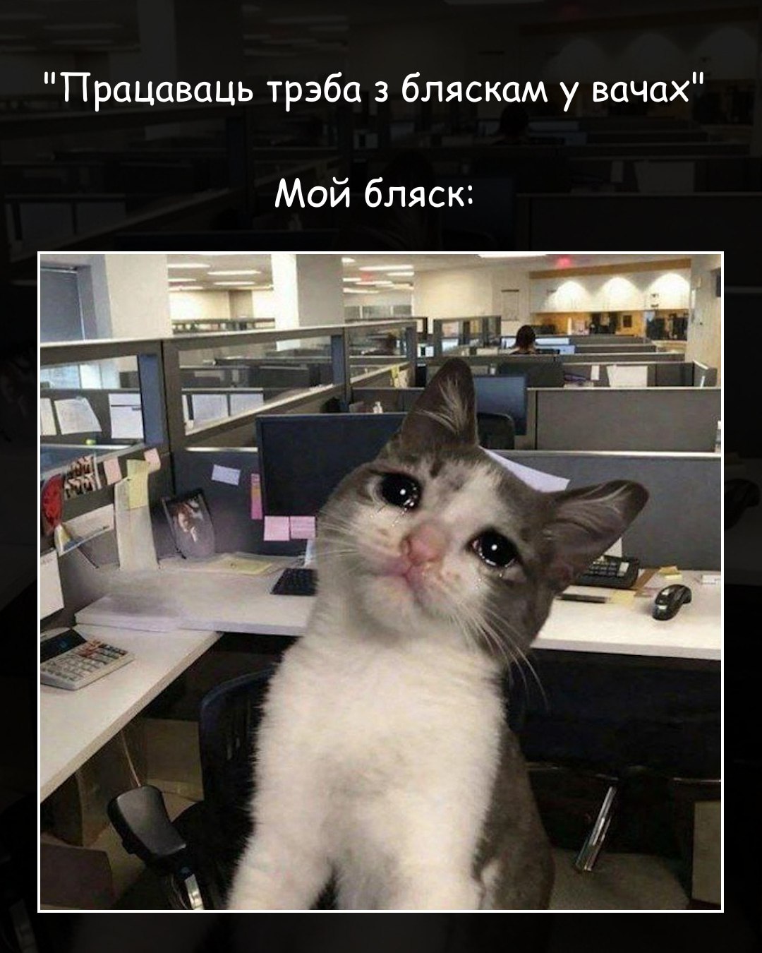 @Металічны Барсік