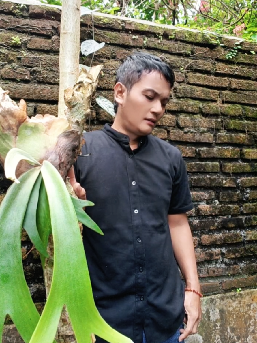 @Omi van Oxe