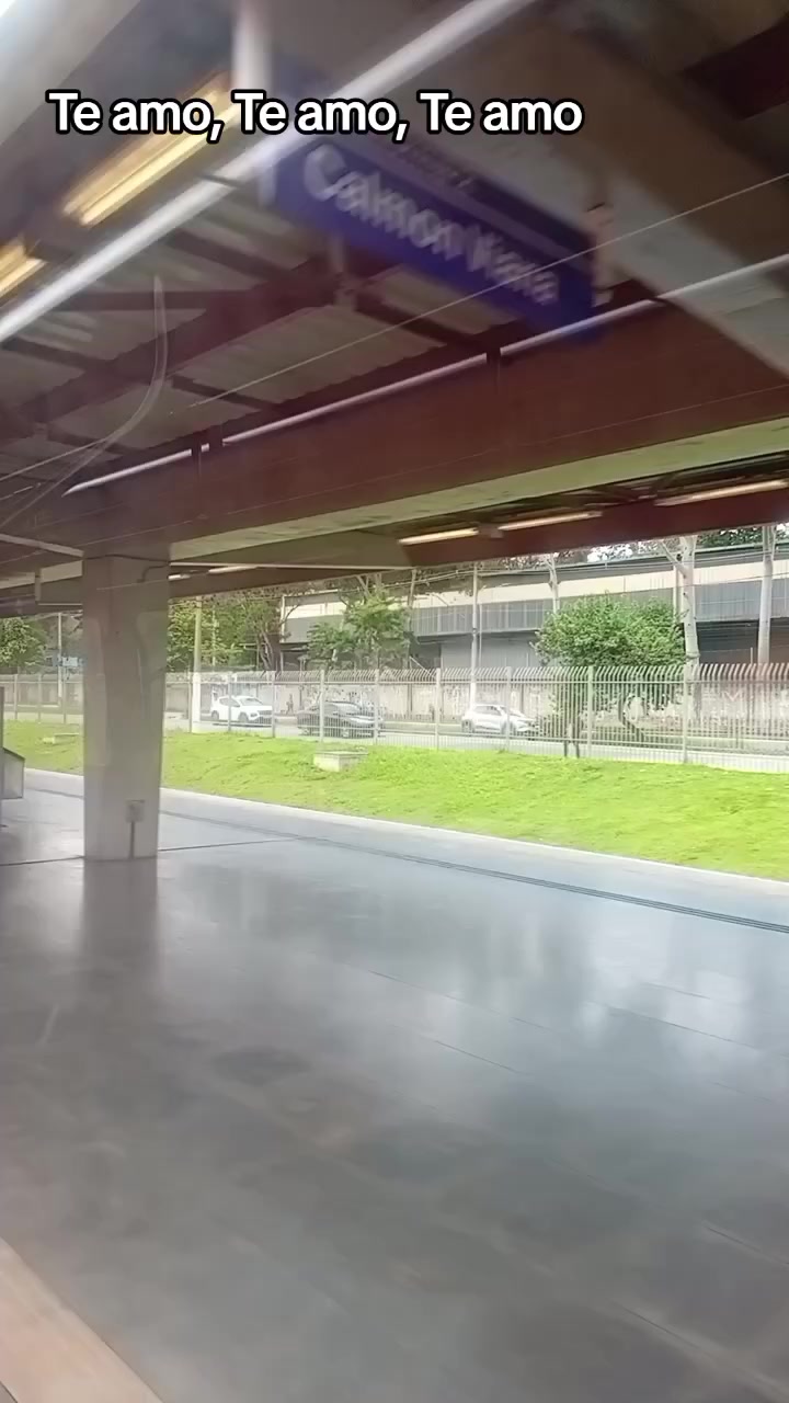 @Bernardo.49