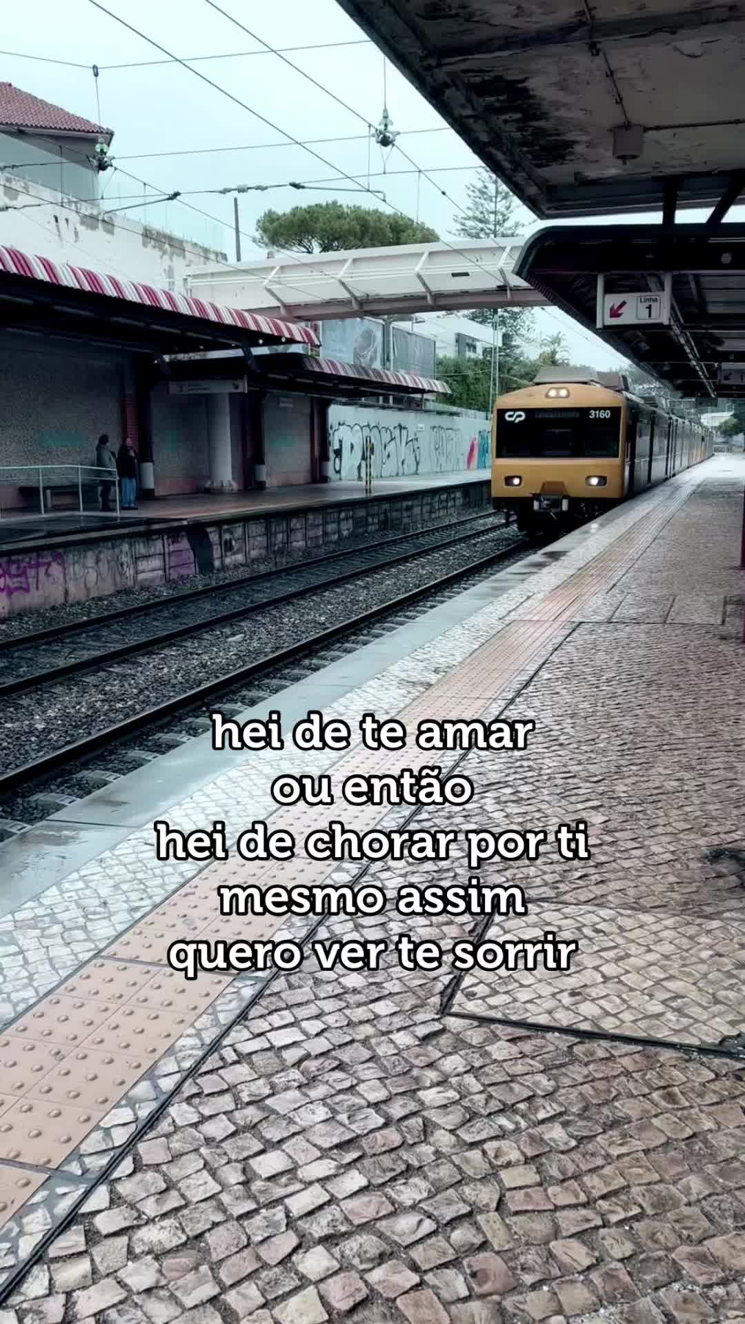 @Carolina Cardoso
