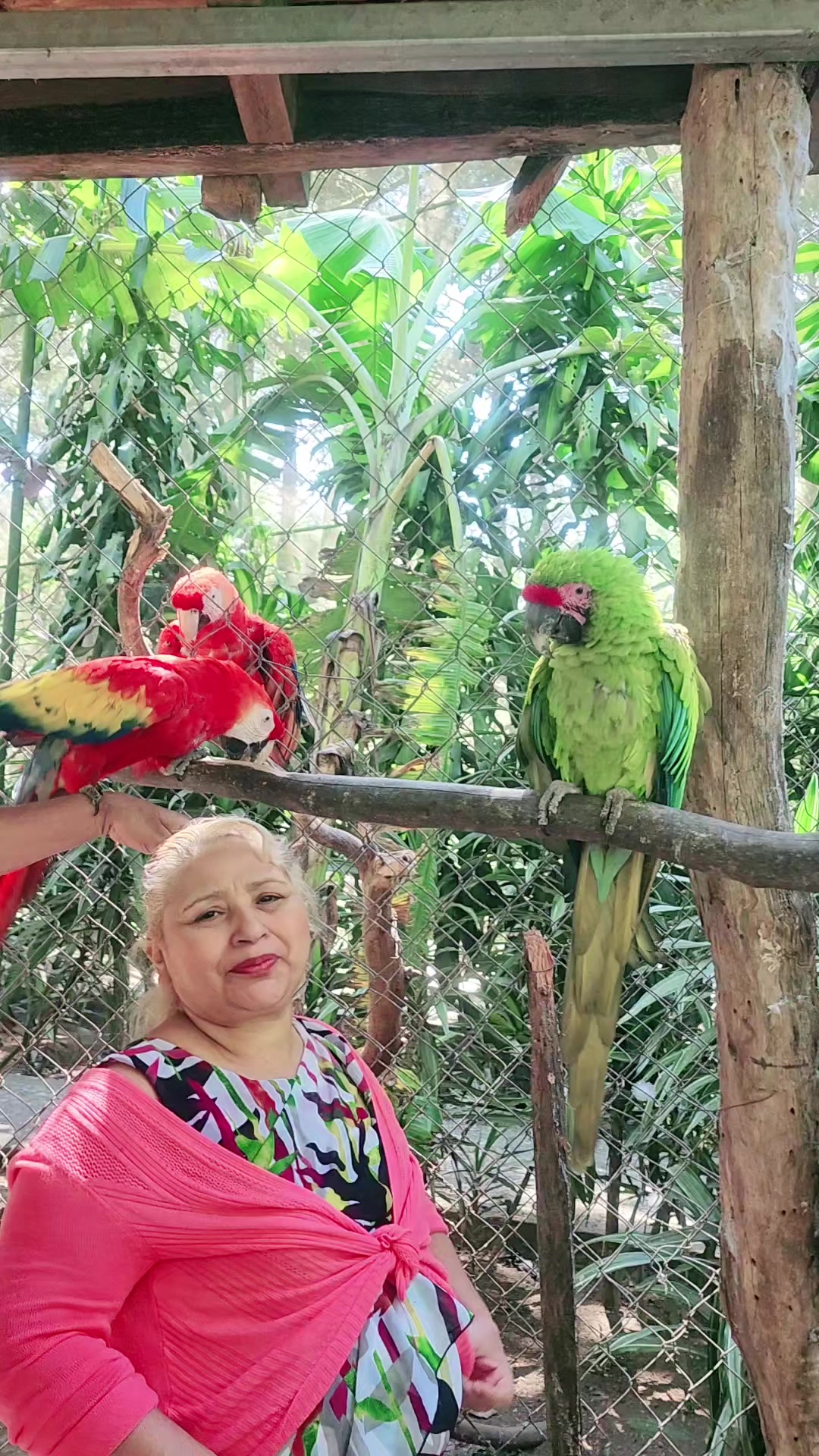 @🐺❤️La se&ntilde;ora de acero,