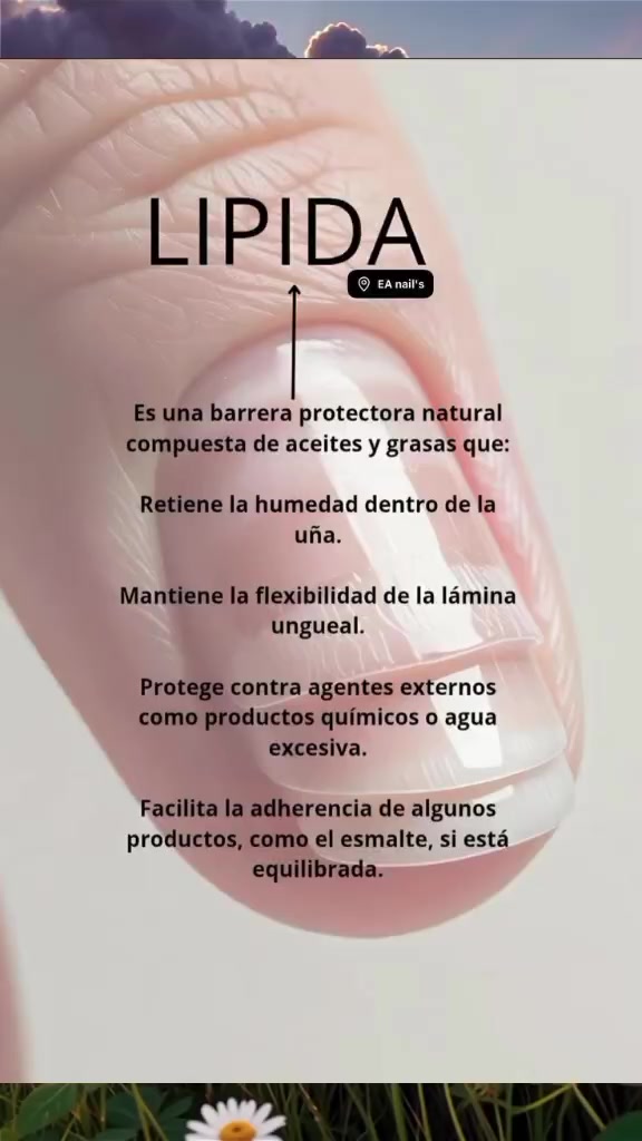 @Emily Sal&oacute;n & Spa