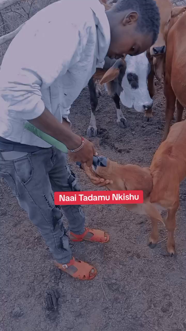 @Enkerai Ornyangusi