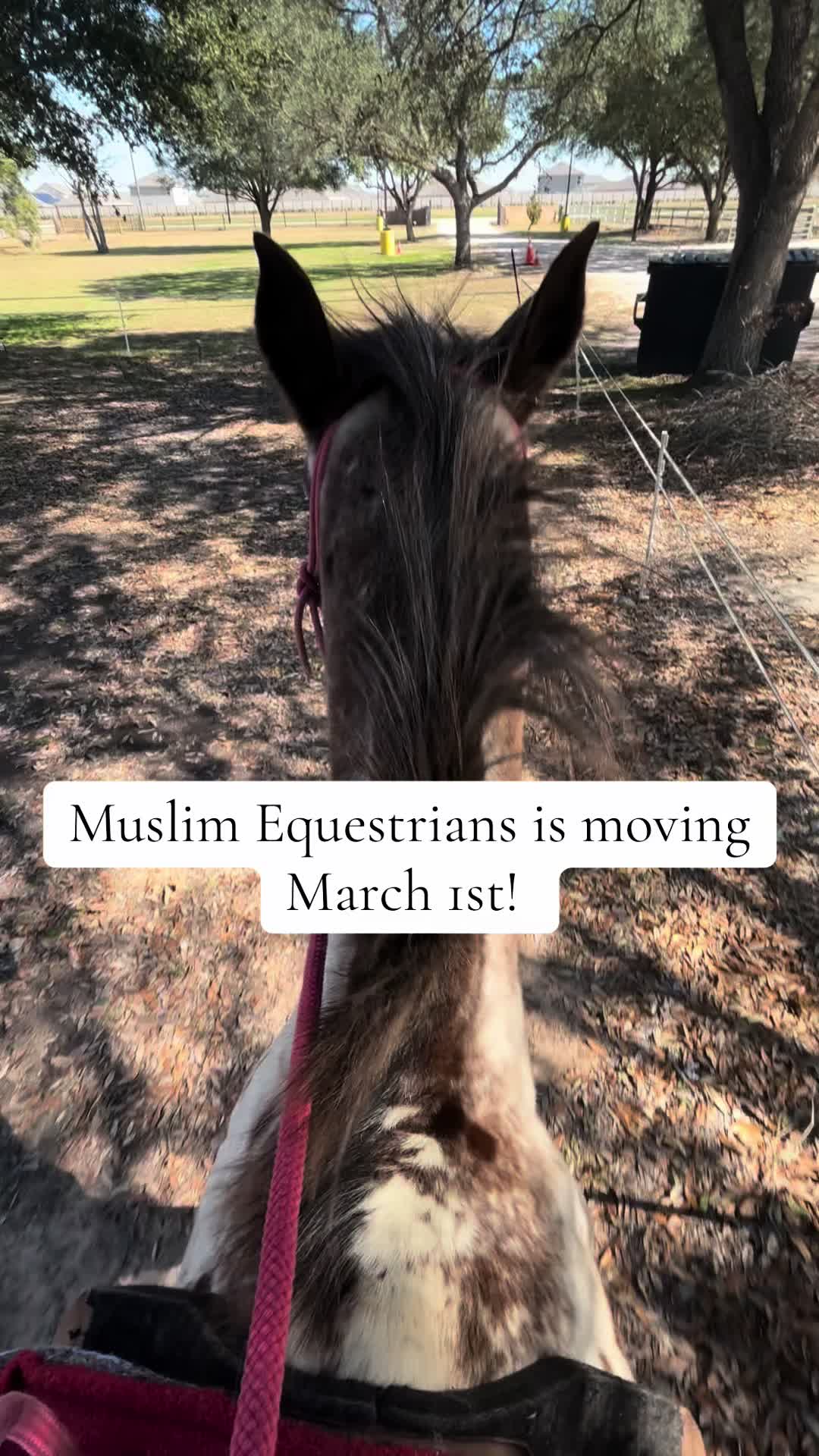@Muslim Equestrians L.L.C.