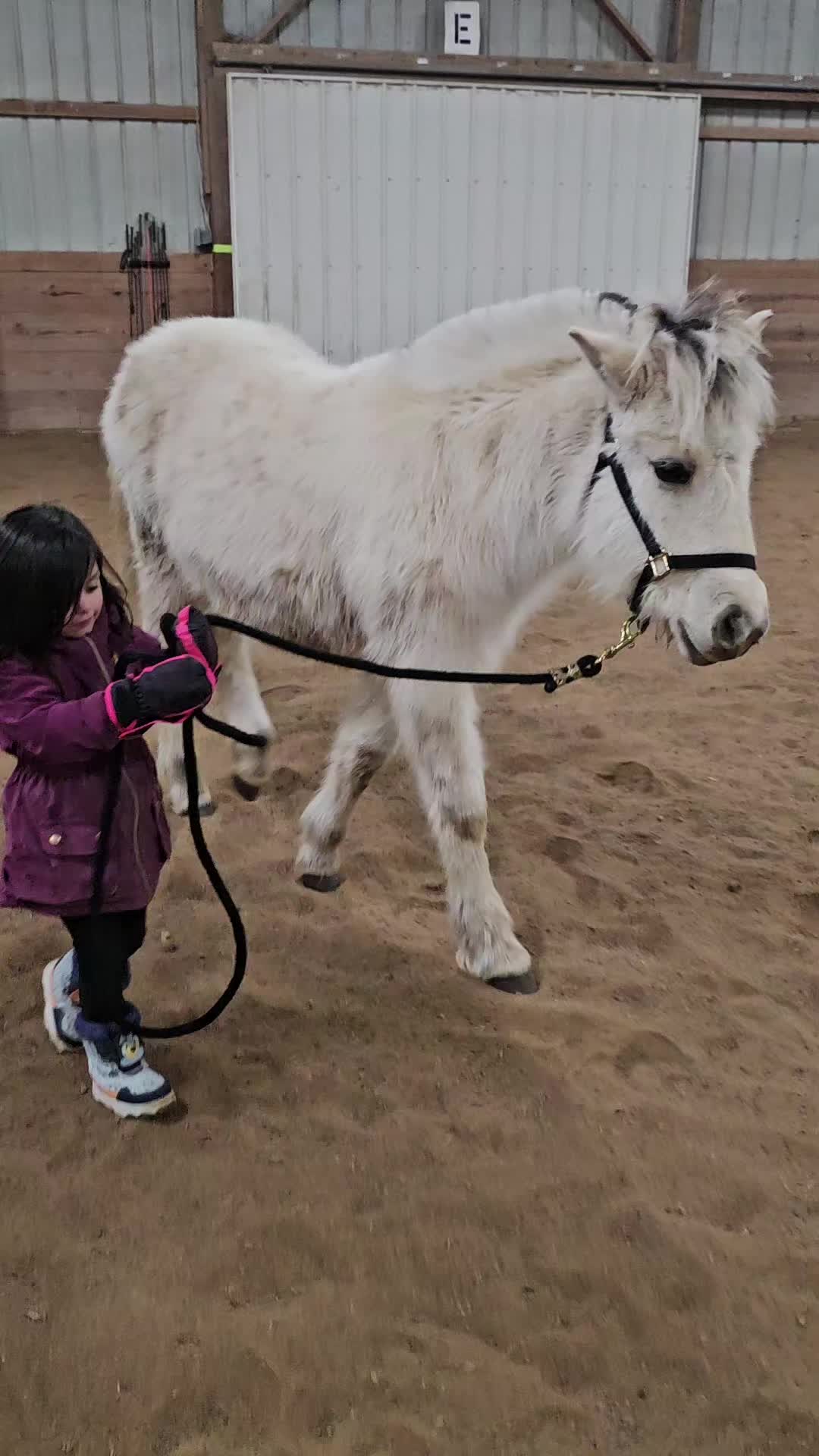 @Kismet Farm Crew