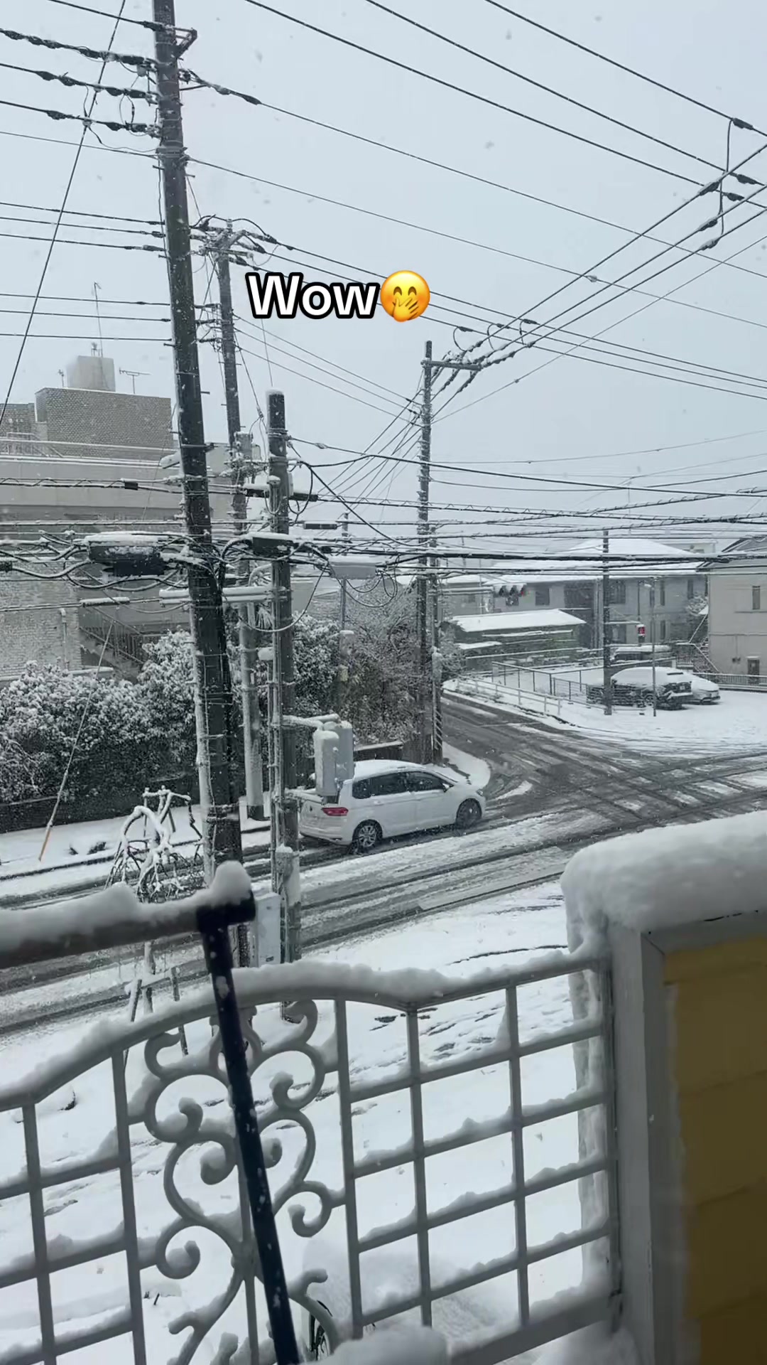 @🇲🇲🏳️&zwj;🌈Thinzar🇯🇵