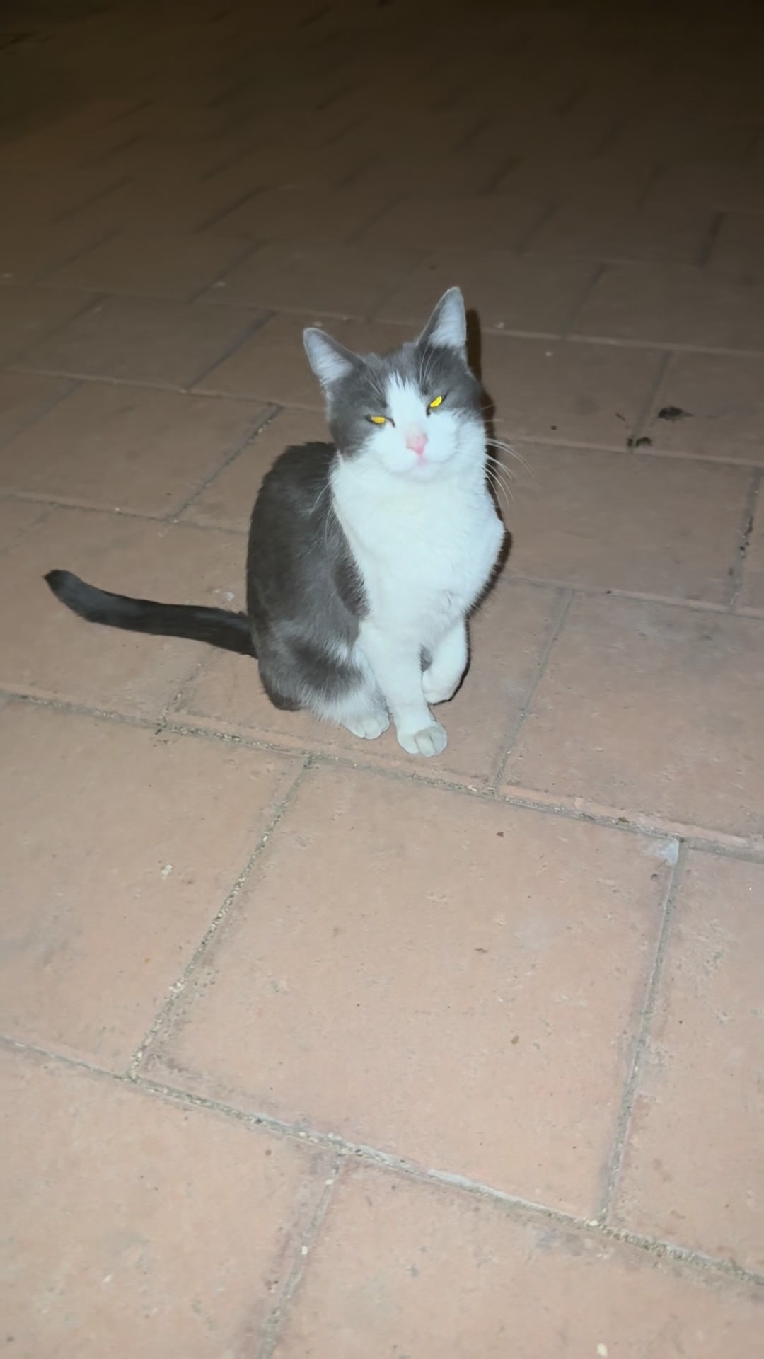 @Bella Gatti
