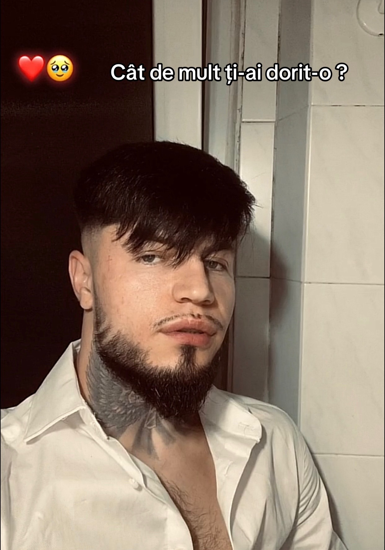 @⚜️🎰 Alfredo Faraonu 🗡️