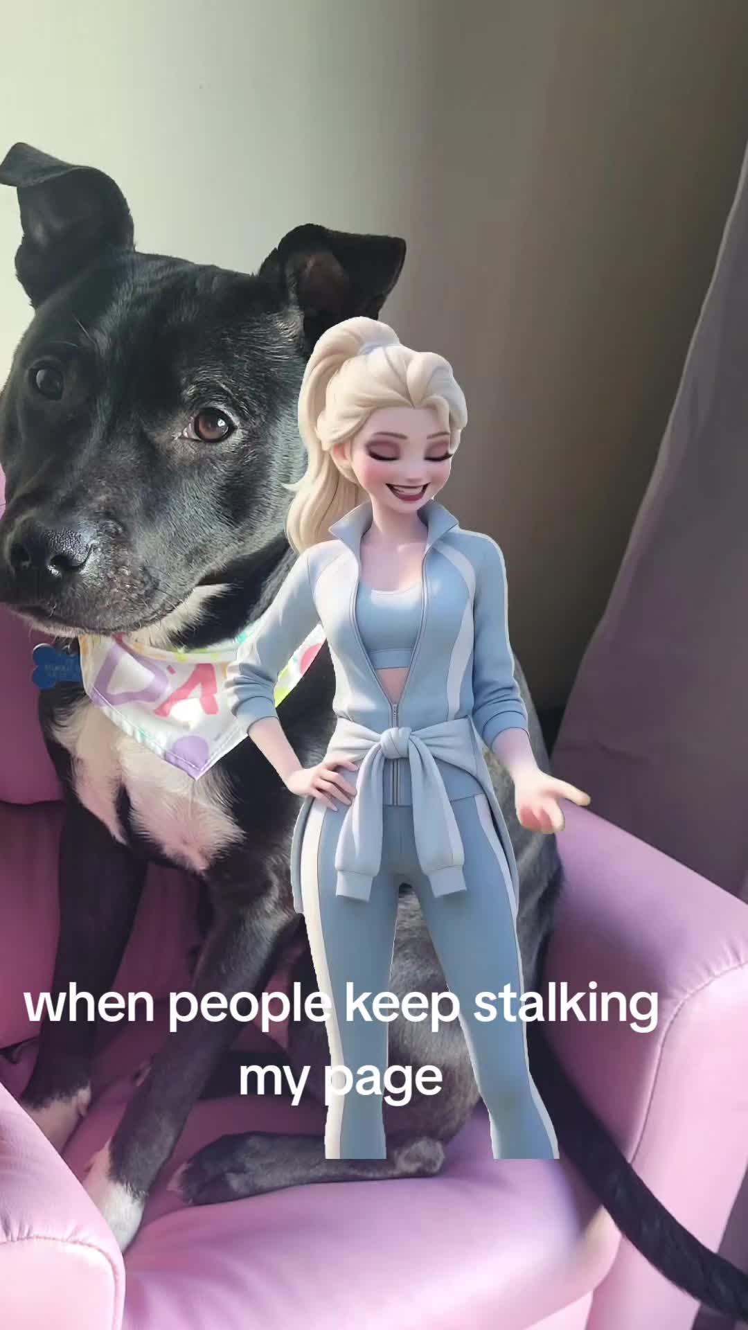 @scottishqueen🏴󠁧󠁢󠁳󠁣󠁴󠁿