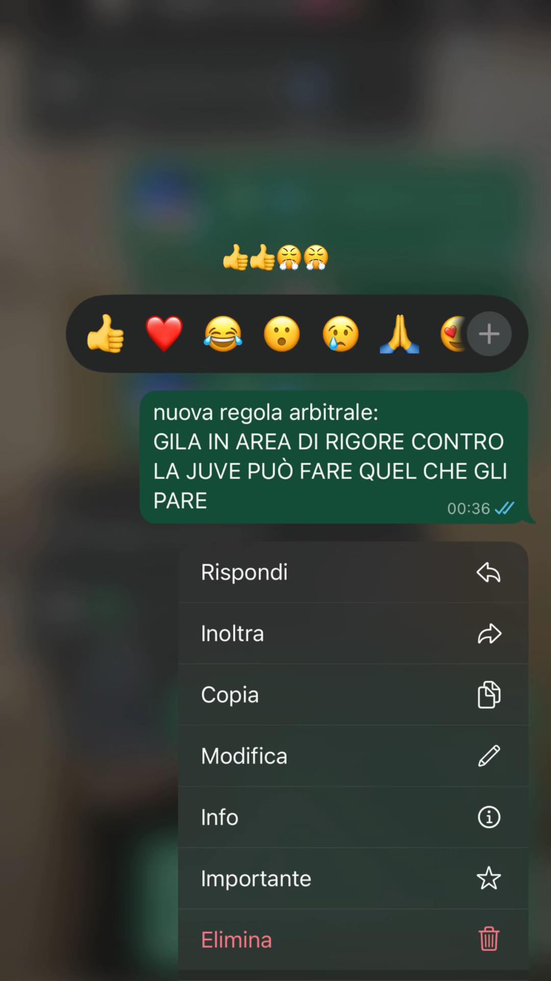 @giadyyspamm
