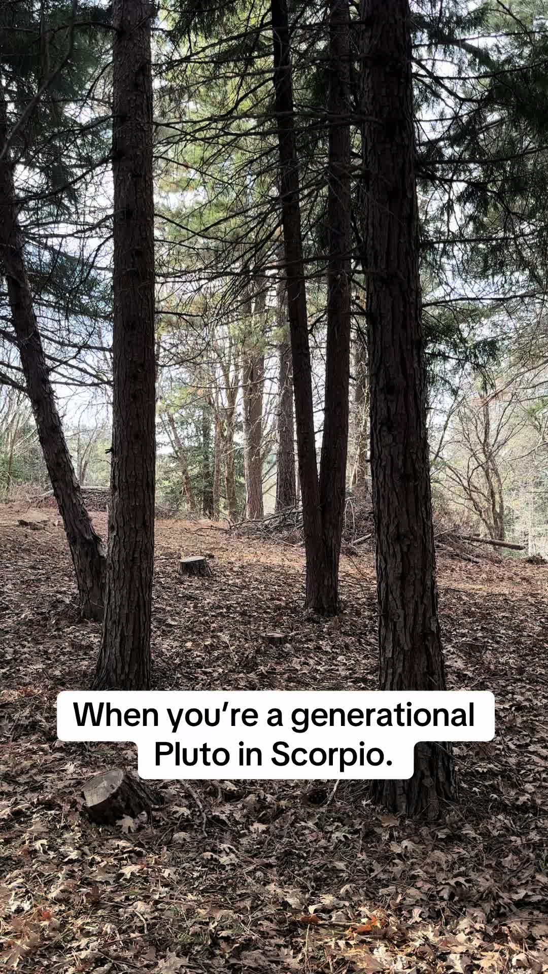 @perpetuallypatsy⚡️
