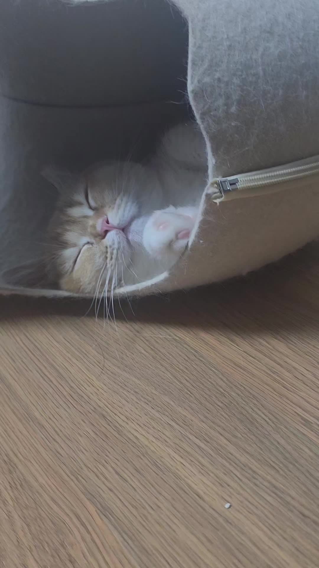 @박씨 거실