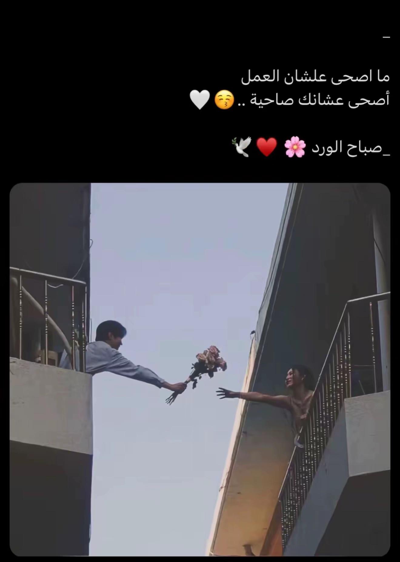 @غلا الدوسري