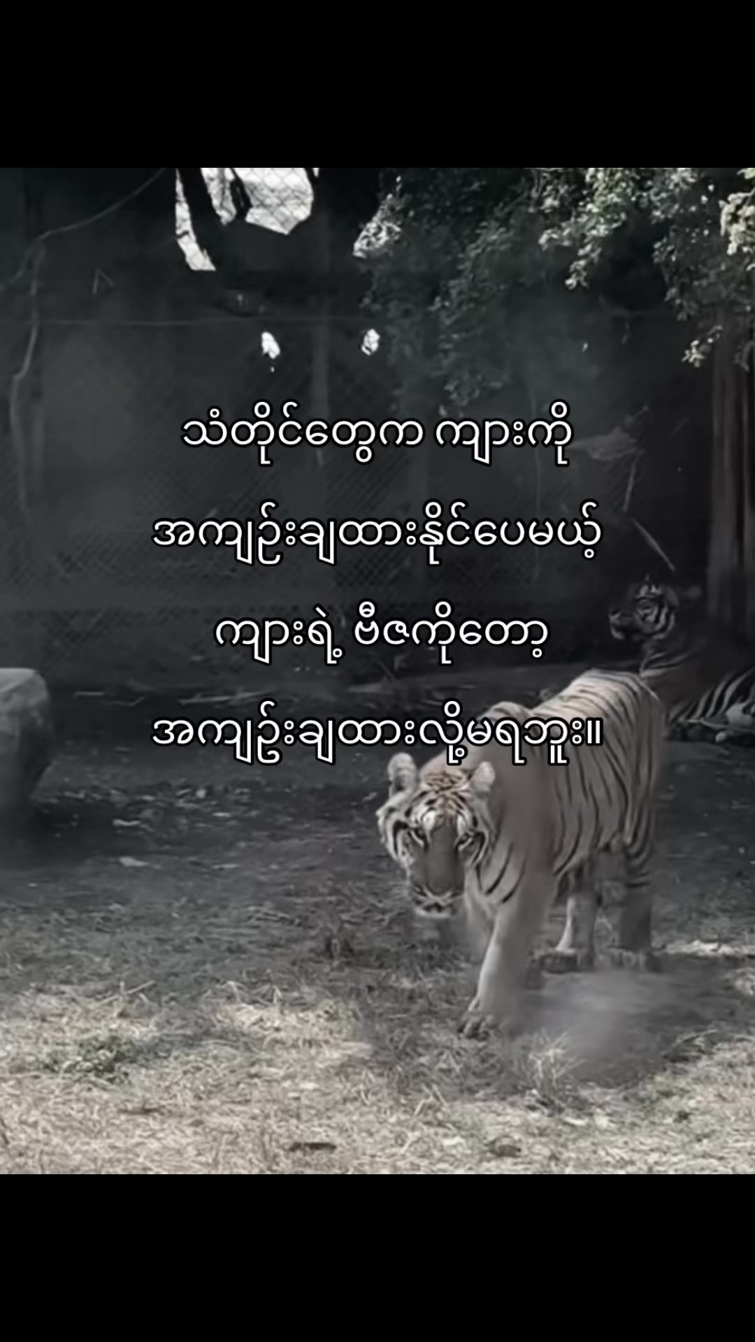 @𝐋𝐲𝐧𝐧 𝐟𝐥𝐨𝐢𝐲𝐫𝐢𝐧𝐞'𝐬