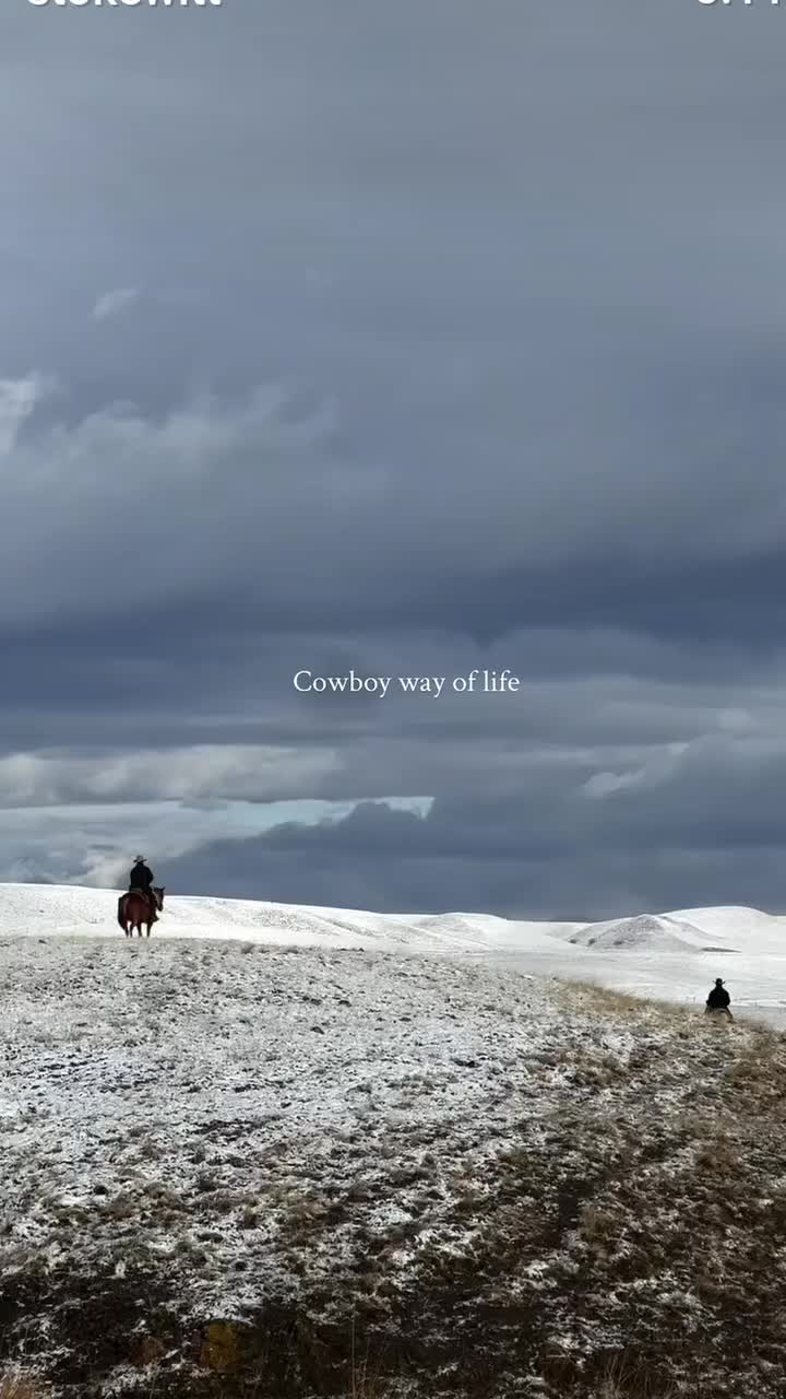 @🤠cowpoke 🤠