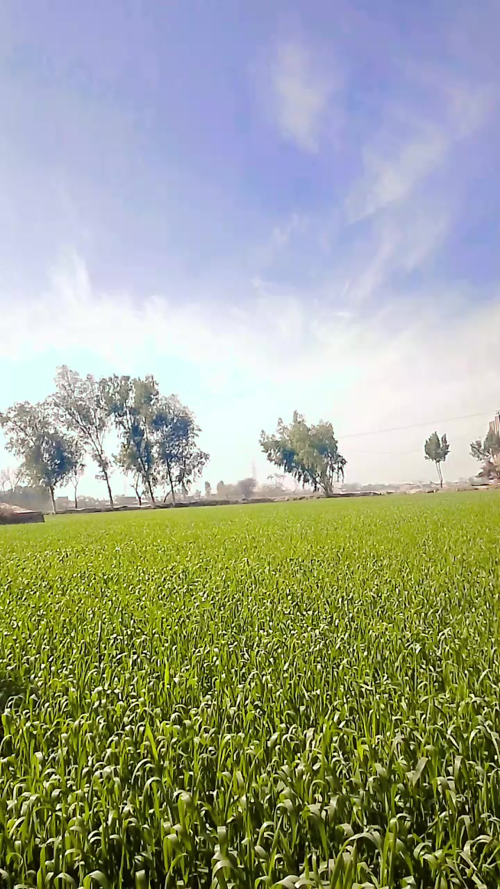 @🇵🇰🧡دےررثتدتت🚩💗