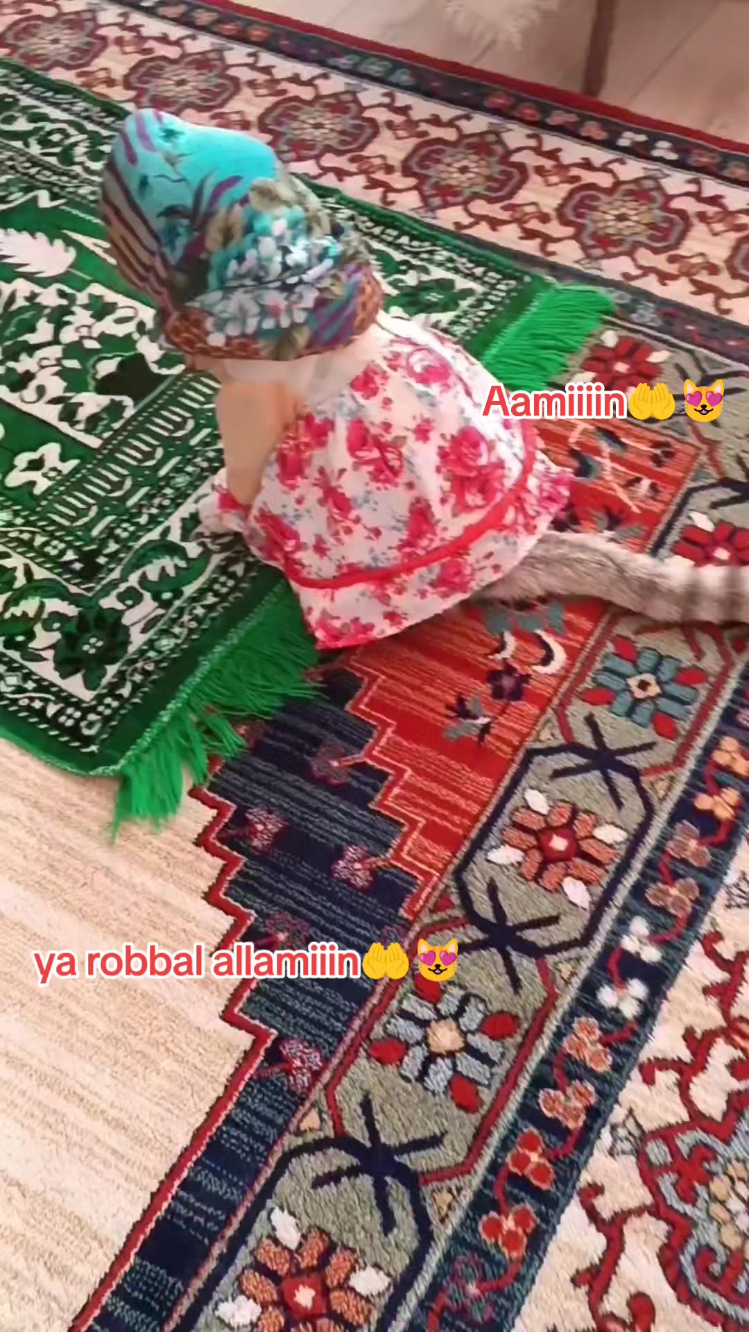 @#NDAnya Kucing#